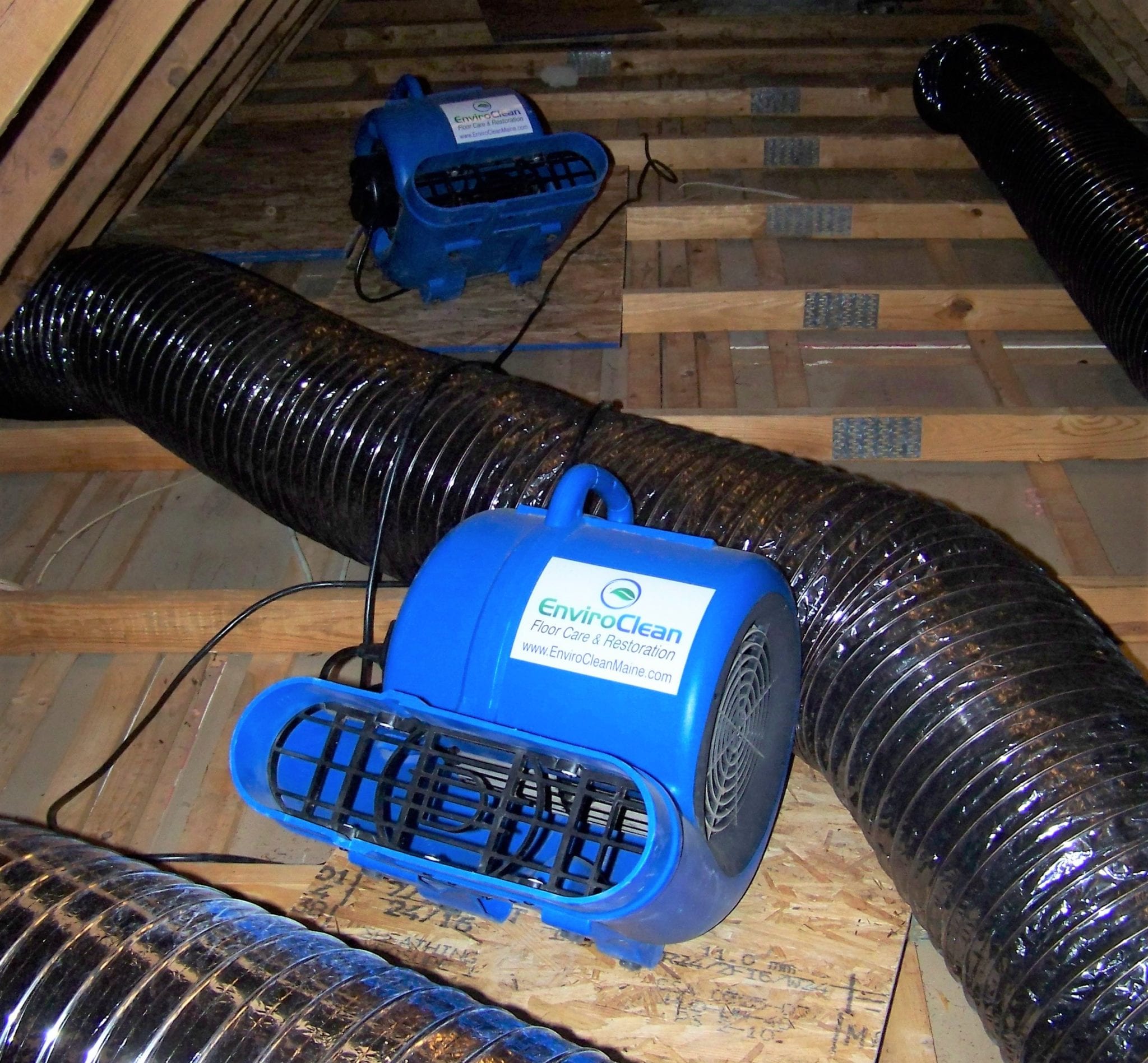 Mold Remediation Portland Mold Remediation Maine Enviroclean