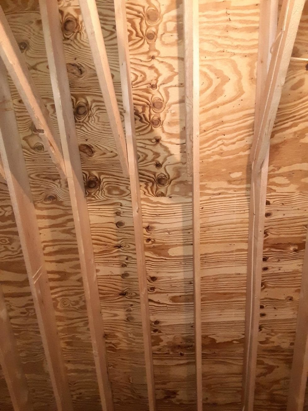 Mold Remediation Portland Mold Remediation Maine Enviroclean