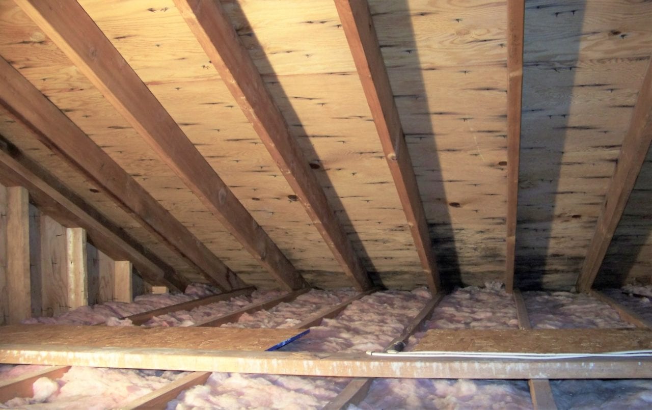 Mold Remediation Portland Mold Remediation Maine Enviroclean