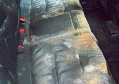 Portland Maine Car Upholstery Cleaning