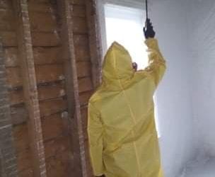 How to Choose the Right Mold Remediation Professional