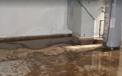 How to Prevent Mold After Your Basement Floods