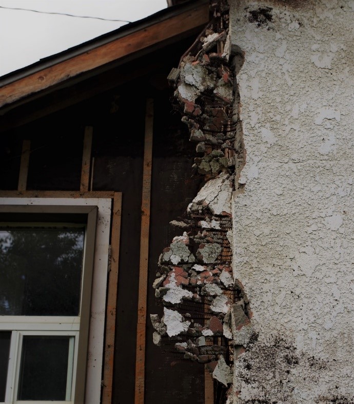 A picture of a wall with lots of white mold growing on it.