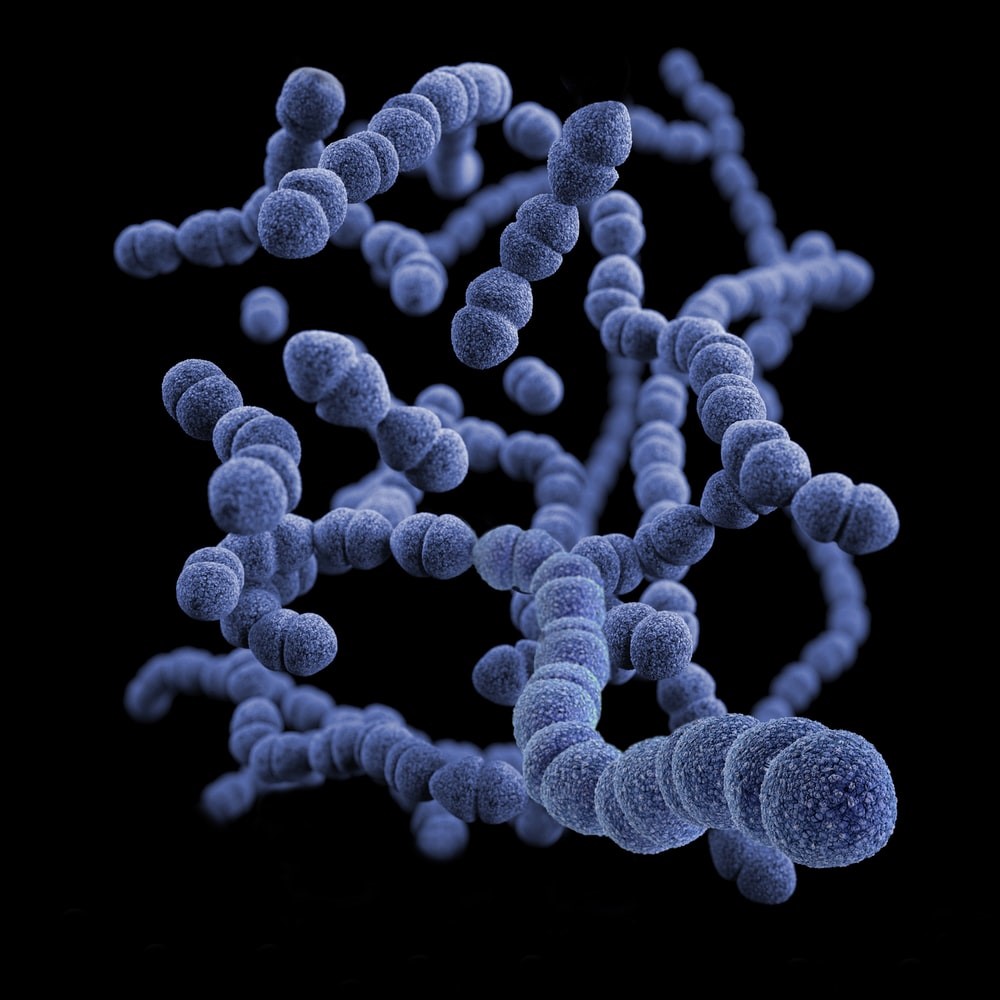 A three dimensional, computer-generated image of Streptococcus bacteria. 