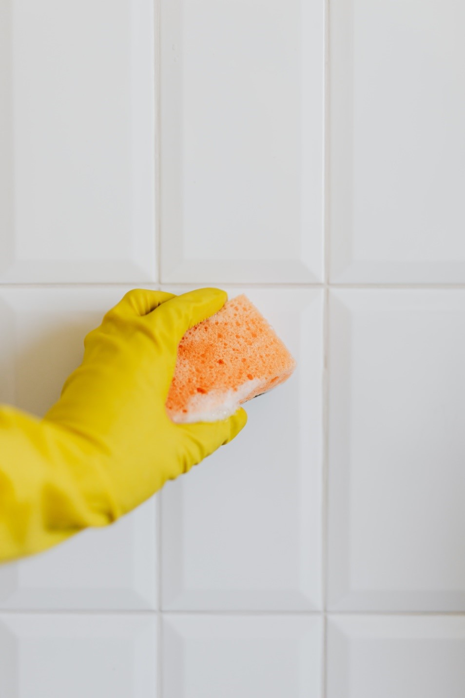 A professional cleaner wearing gloves while scrubbing mold off the tiles