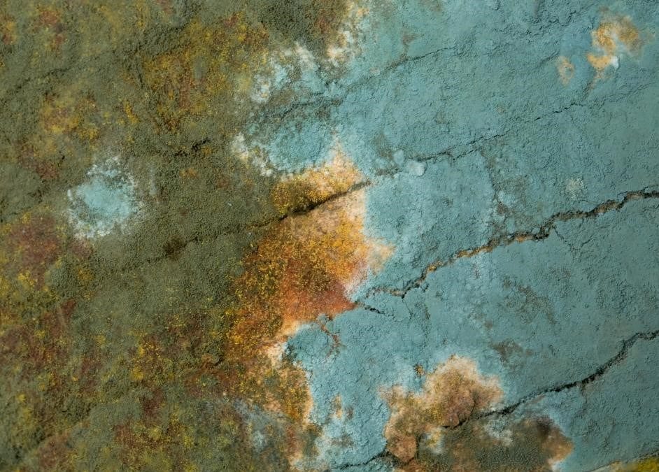 The Science Behind Mold: How It Begins, Grows, and Can Be Eliminated