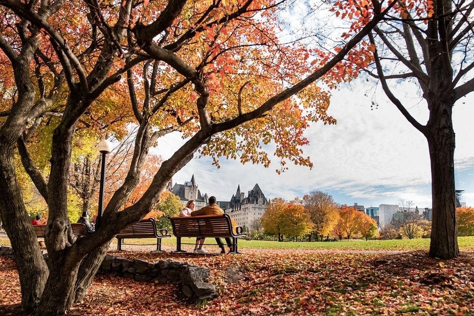 Couple enjoying fall season on a park bench