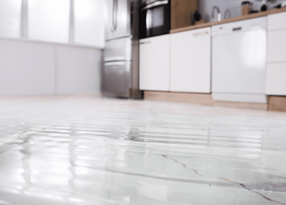 How to Prevent Flood Damage in Your Home?