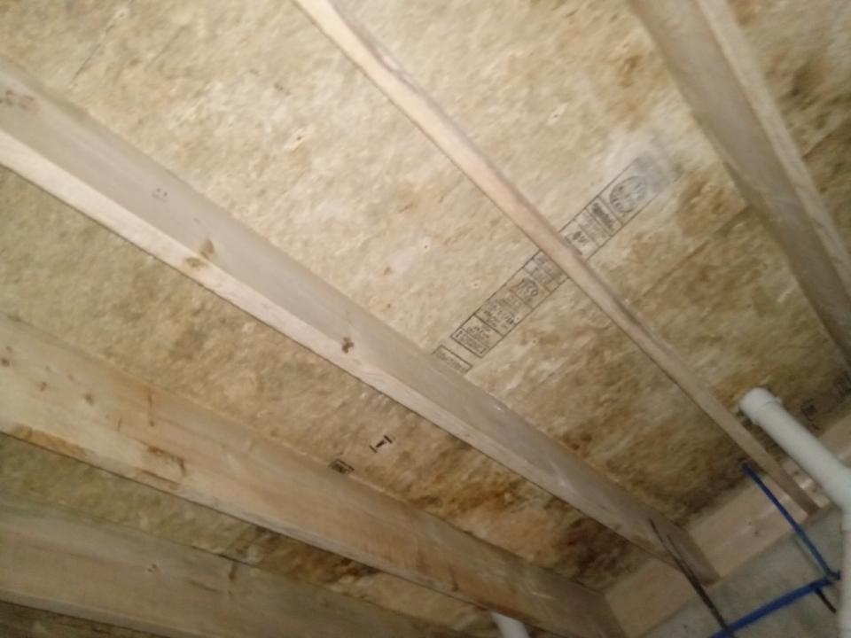 ceiling mold