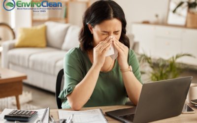 7 Signs Your Home Needs Professional Mold Remediation