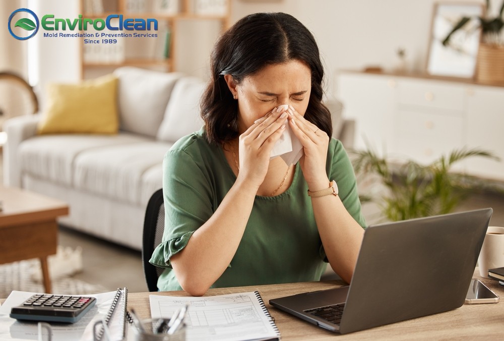 7 Signs Your Home Needs Professional Mold Remediation