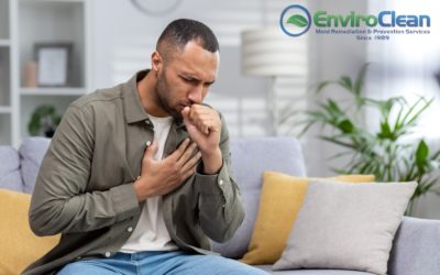 Is White Mold Dangerous? 6 Potential Health Effects