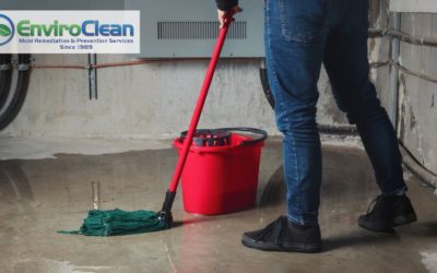 6 Tips for Preventing Mold After a Flood