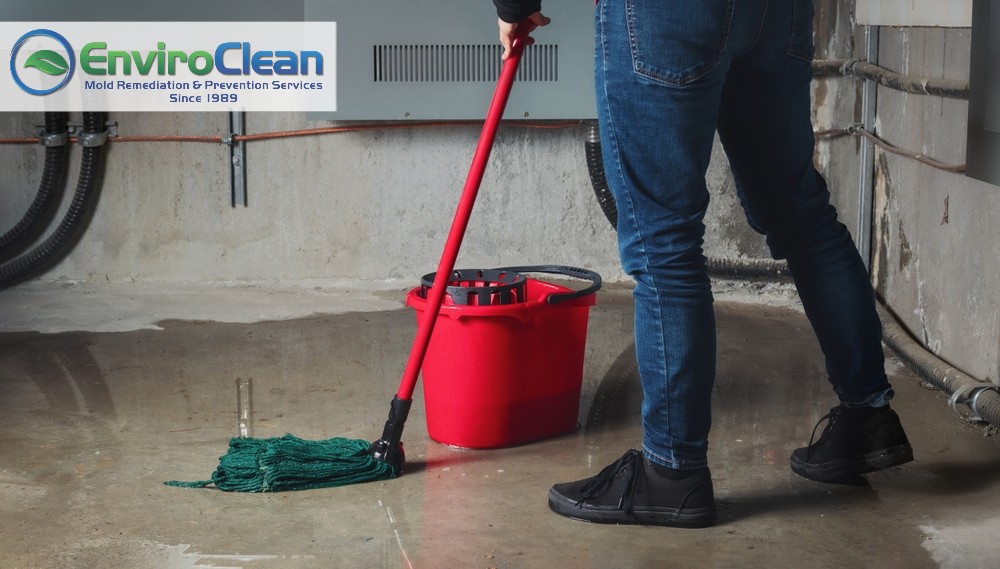 6 Tips for Preventing Mold After a Flood
